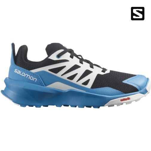 Blue / Black Salomon Patrol Kids' Hiking Shoes | PH 27408O